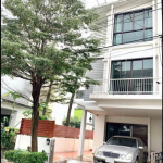 For Sale Bangkok Town House Sukhumvit 77 BTS On Nut Watthana BRE16845