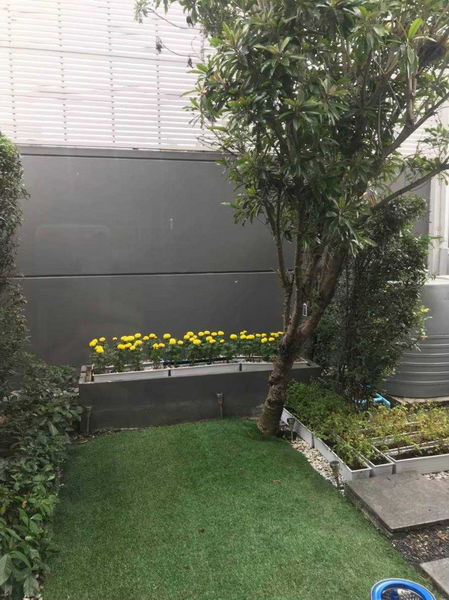 For Rent Bangkok Town House Landmark Ekamai-Ramindra Pradit Manutham Ladphrao BRE20054