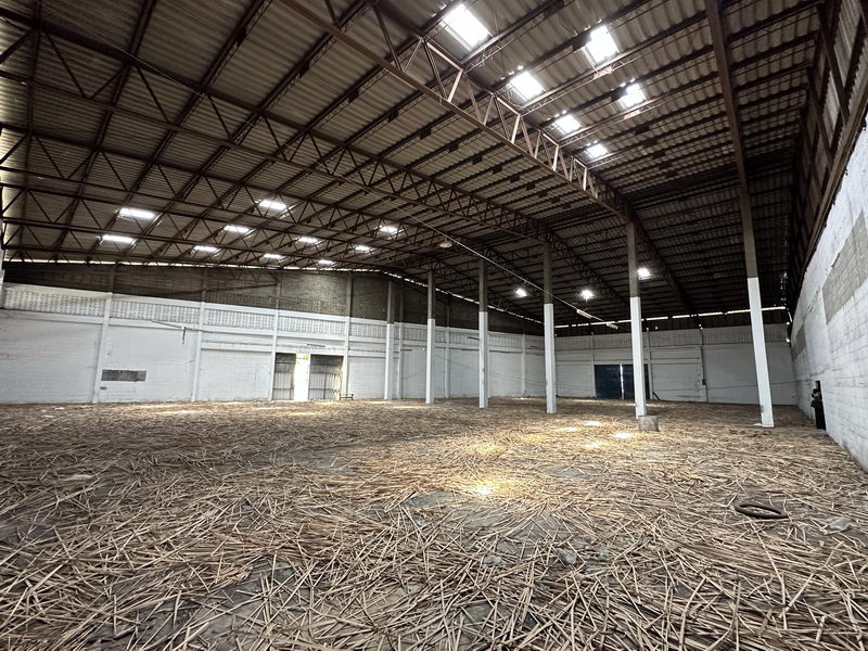 For Rent Samut Prakan Warehouse Pu Chao Saming Phray Road Phra Pradaeng BRE19886