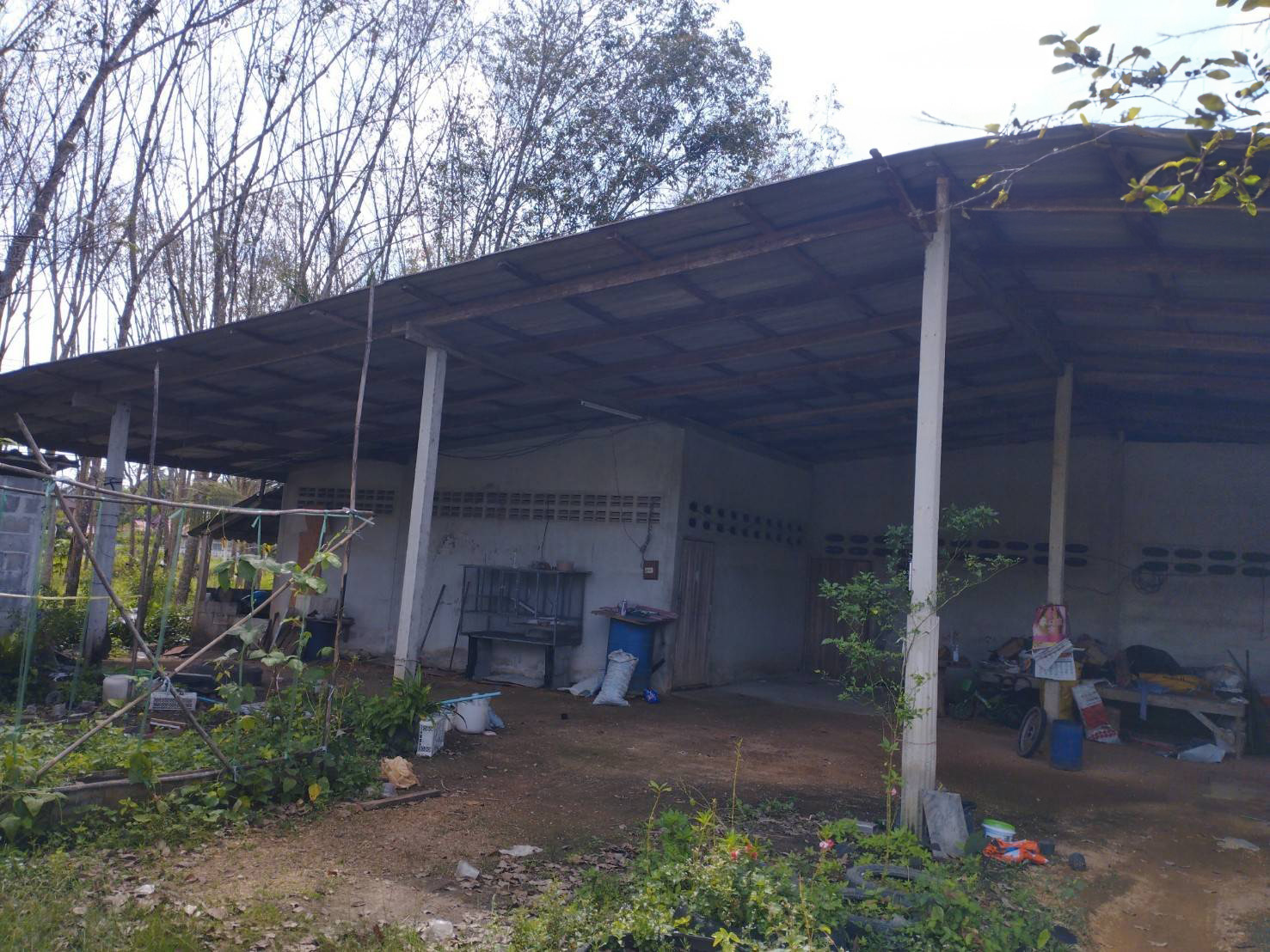 บ้านเดี่ยว : นอกโครงการสงขลา