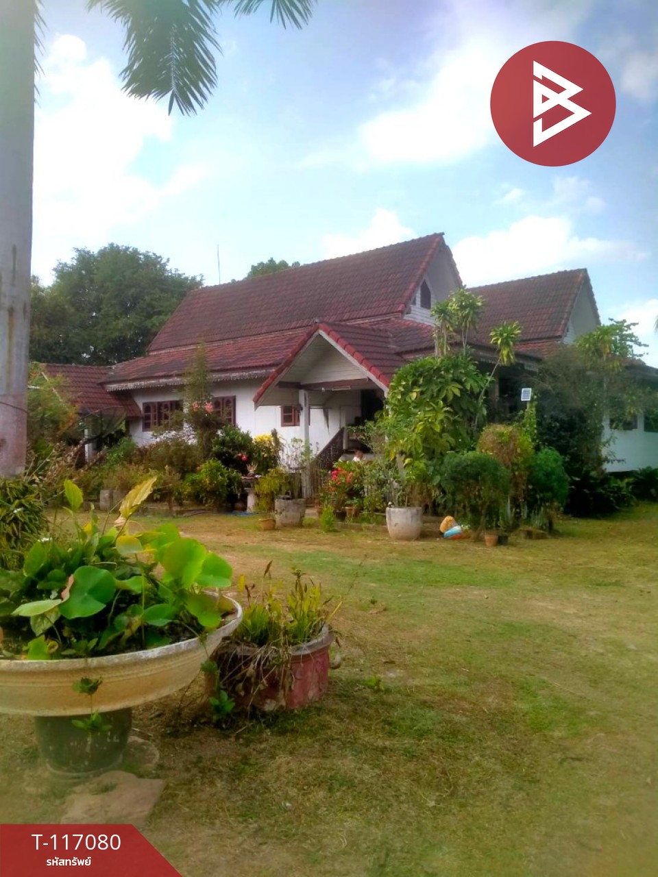 ขายบ้านพร้อมที่ดิน เนื้อที่ 7 ไร่ 45.7 ตร.วา เทิง เชียงราย