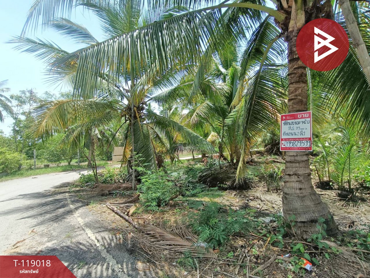 ขายที่ดิน เนื้อที่ 7 ไร่ 79 ตร.วา ท้ายหาด สมุทรสงคราม