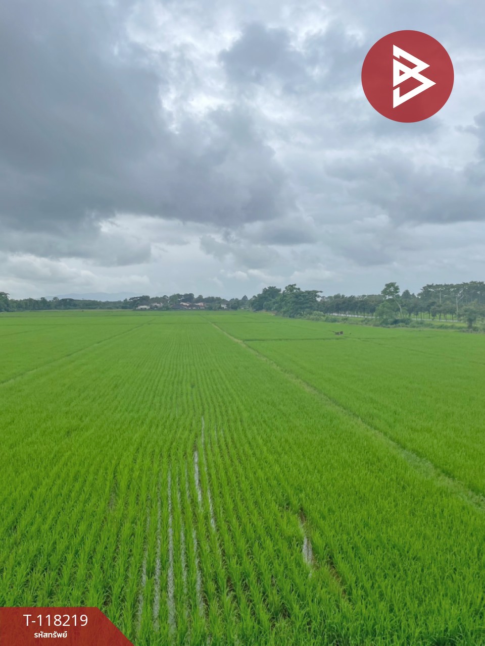 ขาย/เช่าบ้านเดี่ยว หมู่บ้านสุวรรณรายา (Suwanraya) ริมกก เชียงราย