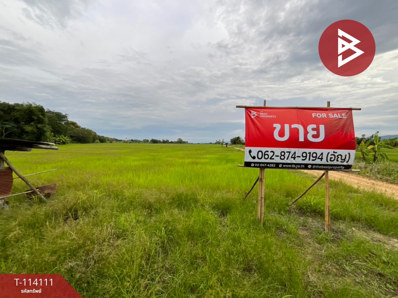 ขายที่ดิน เนื้อที่ 24 ไร่  15 ตร.วา ป่าแดด เชียงราย