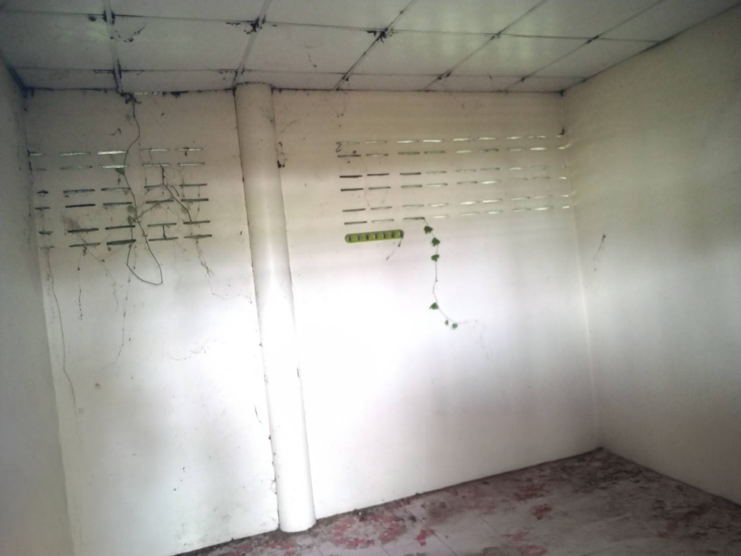 บ้านเดี่ยว : นอกโครงการอู่ทอง