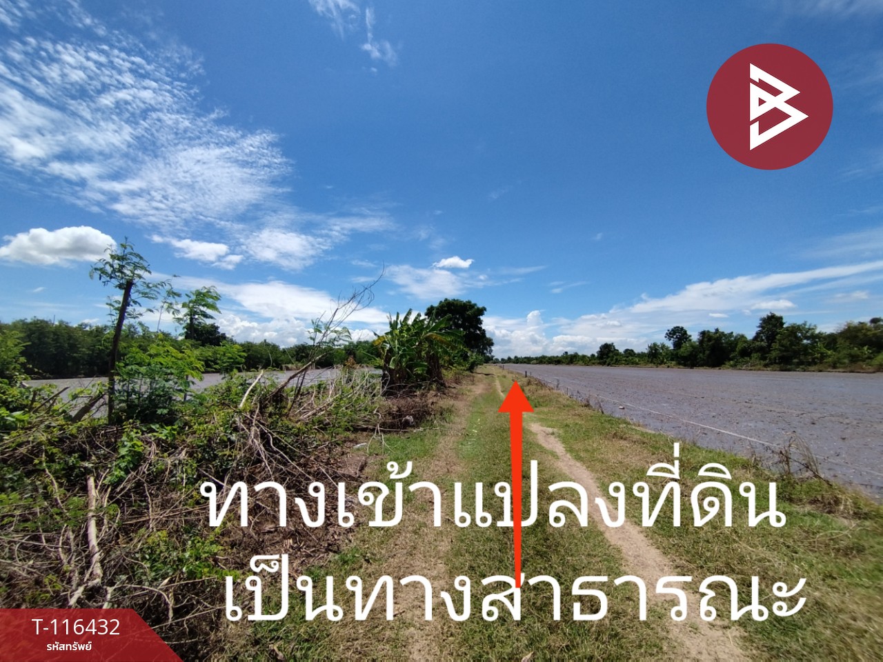 ขายที่ดินด่วน เนื้อที่ 1 ไร่ หนองเสือ ปทุมธานี