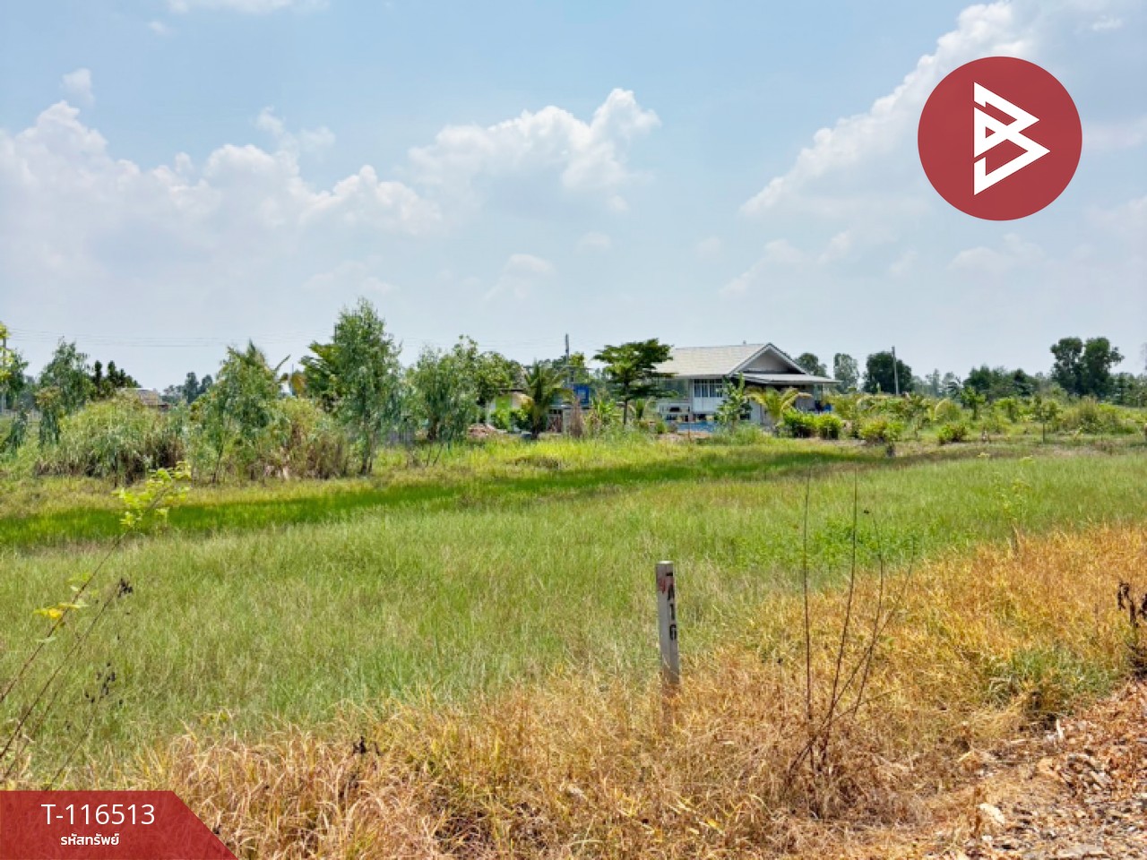 ขายที่ดิน เนื้อที่ 1 งาน 49 ตร.วา วังกระโจม นครนายก