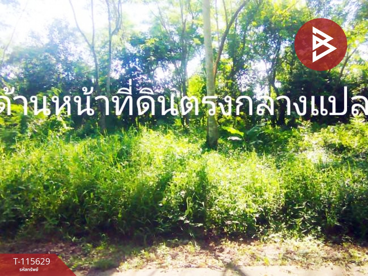 ขายที่ดิน เนื้อที่ 1 งาน 61 ตร.วา บ้านนา นครนายก
