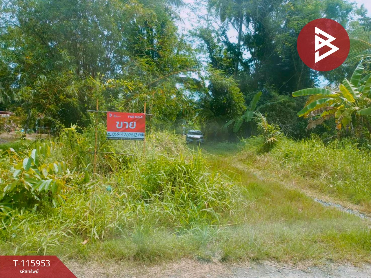 ขายบ้านเดี่ยวพร้อมที่ดิน เนื้อที่ 1 งาน 62.8 ตร.วา ปากพนัง นครศรีธรรมราช