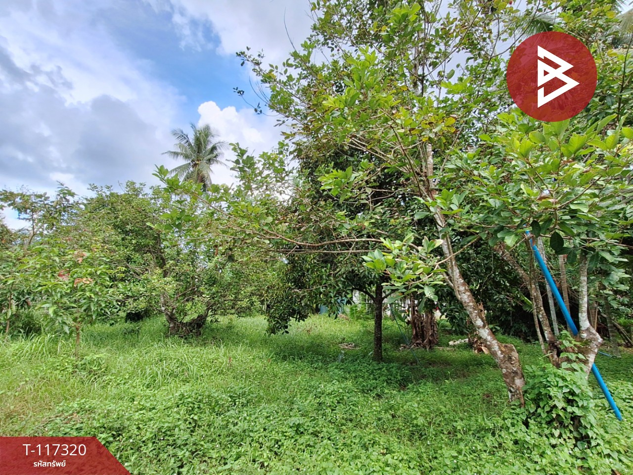 ขายที่ดิน เนื้อที่ 1 งาน 59.9 ตร.วา โพธิ์เสด็จ นครศรีธรรมราช