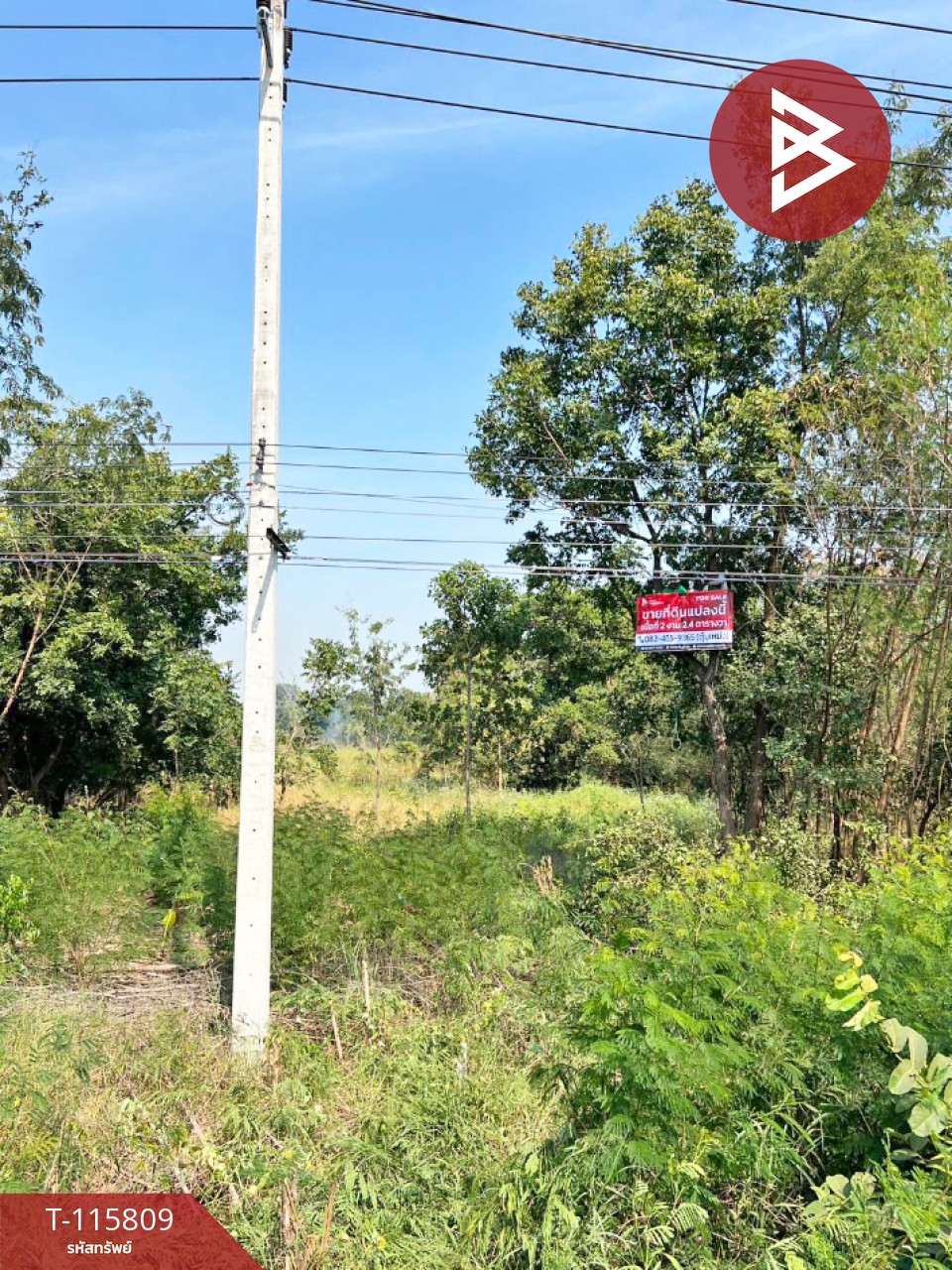 ขายที่ดิน เนื้อที่ 2 งาน 2.4 ตร.วา หนองกรด นครสวรรค์