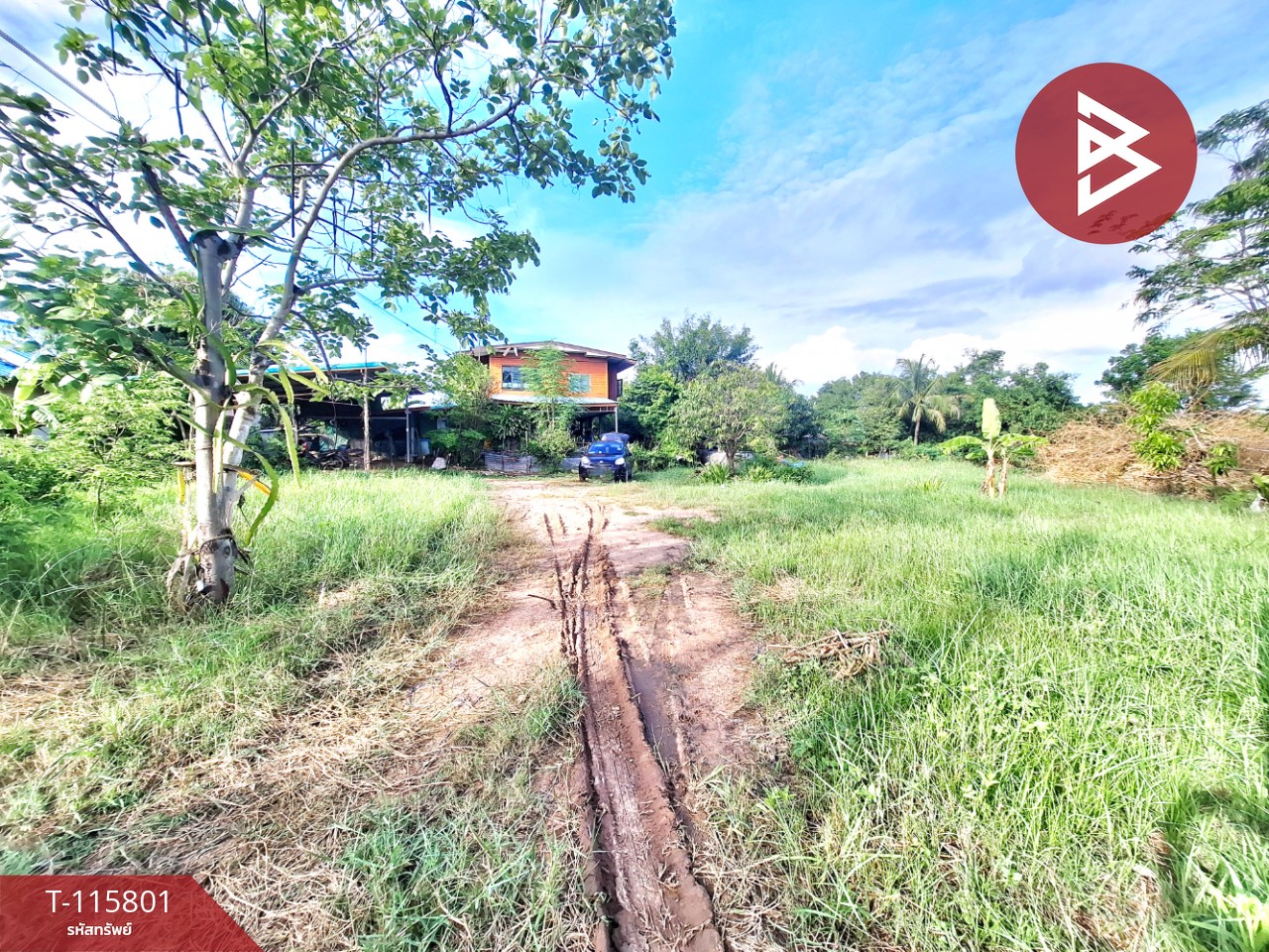 ขายบ้านเดี่ยวพร้อมที่ดิน เนื้อที่ 2 งาน 52 ตร.วา พระทองคำ นครราชสีมา