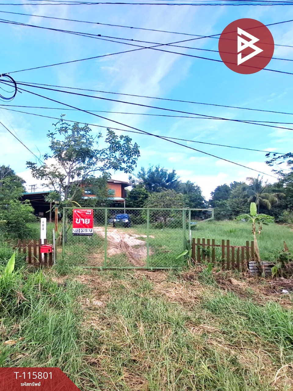 ขายบ้านเดี่ยวพร้อมที่ดิน เนื้อที่ 2 งาน 52 ตร.วา พระทองคำ นครราชสีมา
