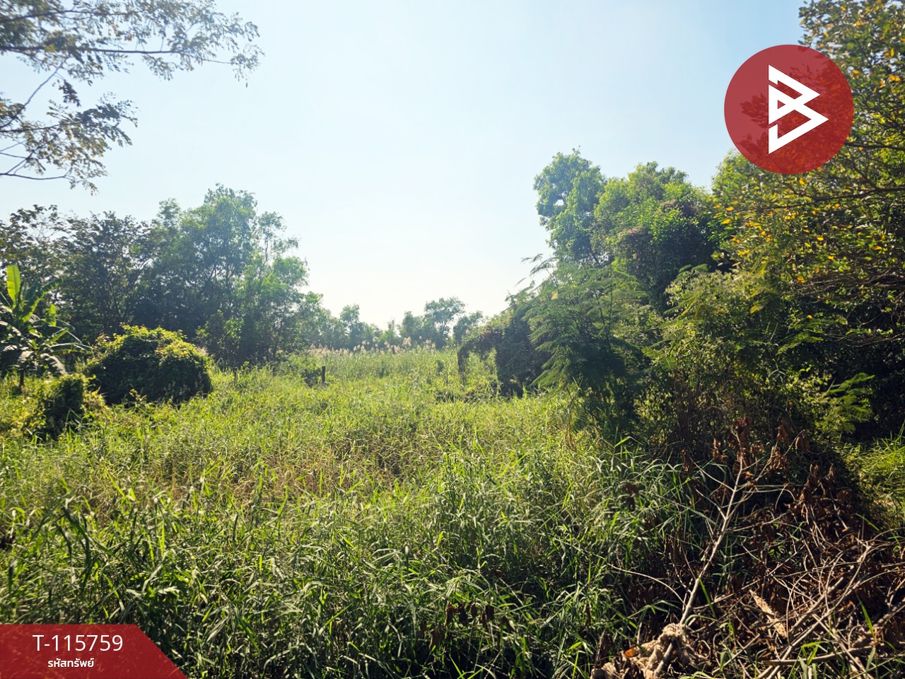 ขายที่ดิน เนื้อที่ 88 ตร.วา ลาดหลุมแก้ว ปทุมธานี