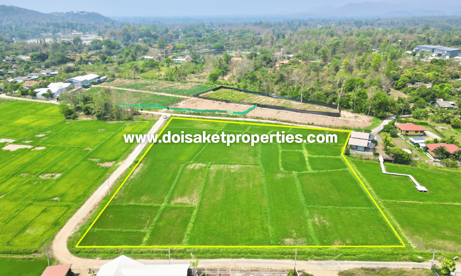 Scenic 7+ Rai Plot of Land with Mountain and Rice Paddy Views for Sale in Choeng Doi, Doi Saket, Chiang Mai