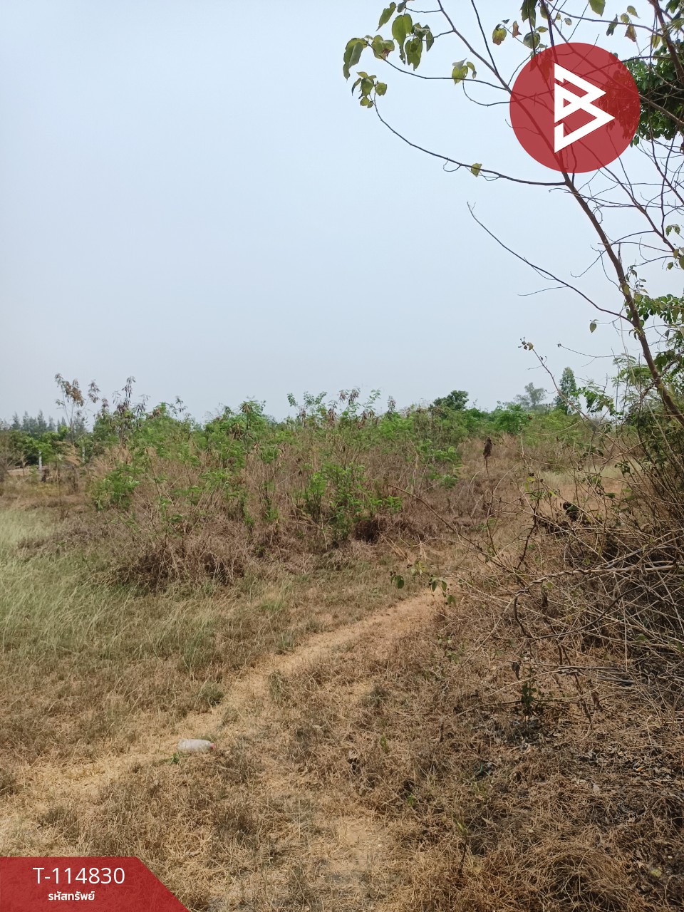 ขายที่ดิน 2 ไร่ จอมบึง ราชบุรี