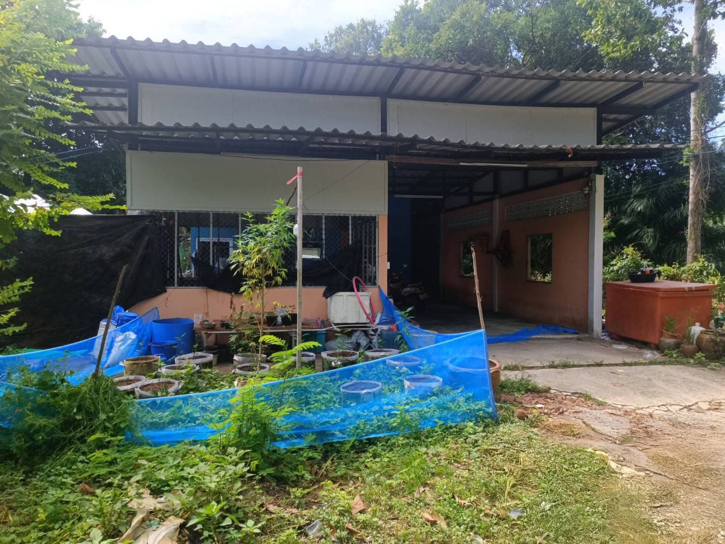 บ้านเดี่ยว : นอกโครงการสุราษฎร์ธานี