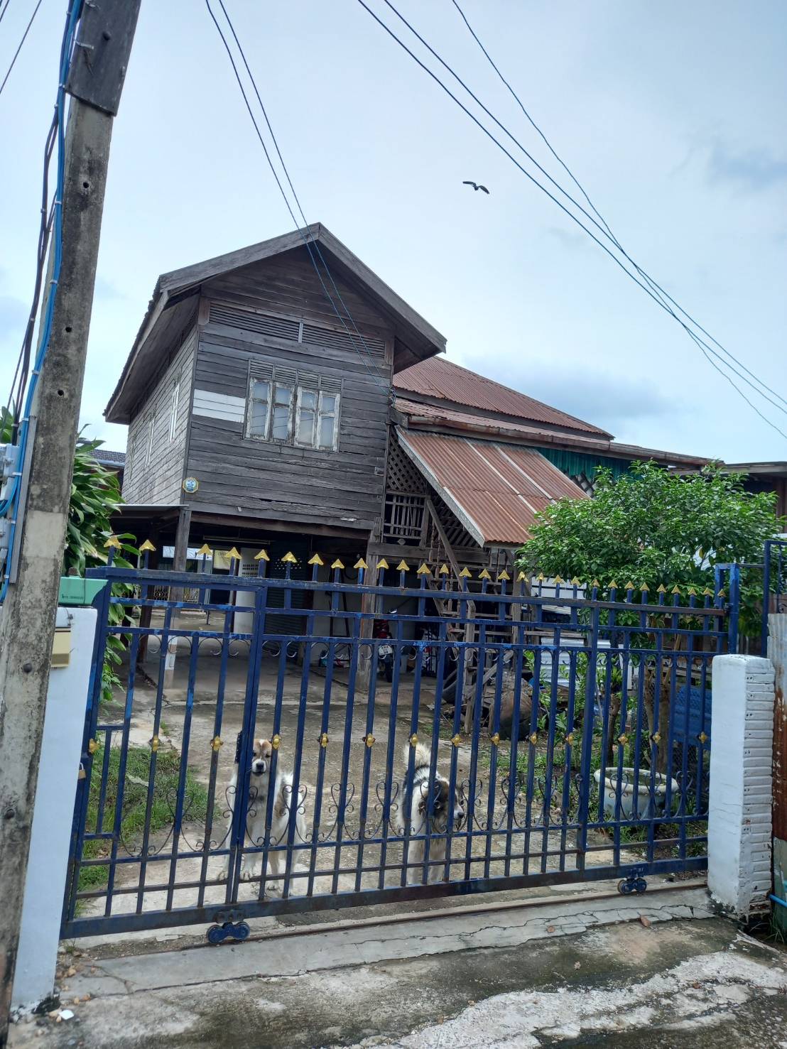 บ้านเดี่ยว : นอกโครงการชัยภูมิ