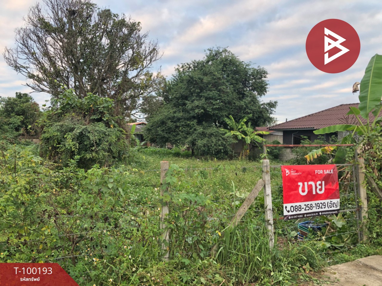 ขายที่ดินเปล่า เนื้อที่ 3 งาน 66 ตร.วา ป่าอ้อดอนชัย เมืองเชียงราย