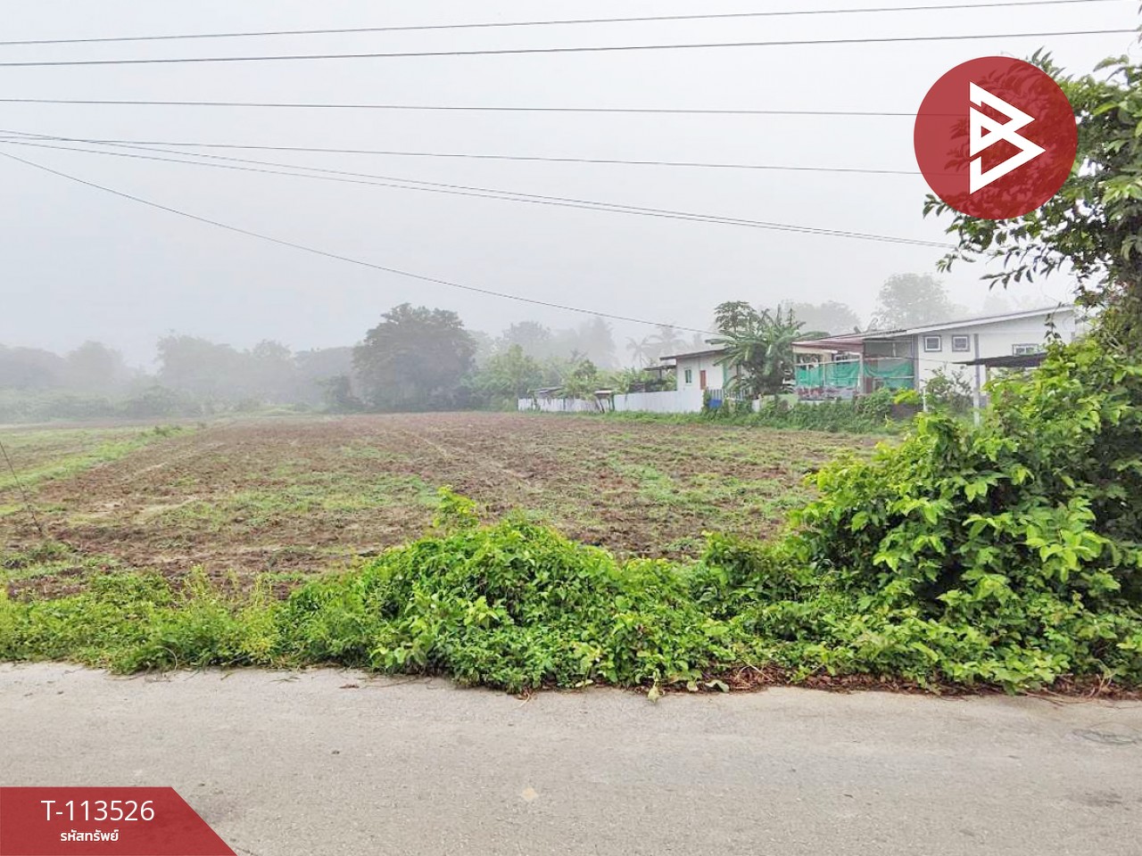 ขายที่ดิน เนื้อที่ 80 ตร.วา เมืองแพร่ จังหวัดแพร่