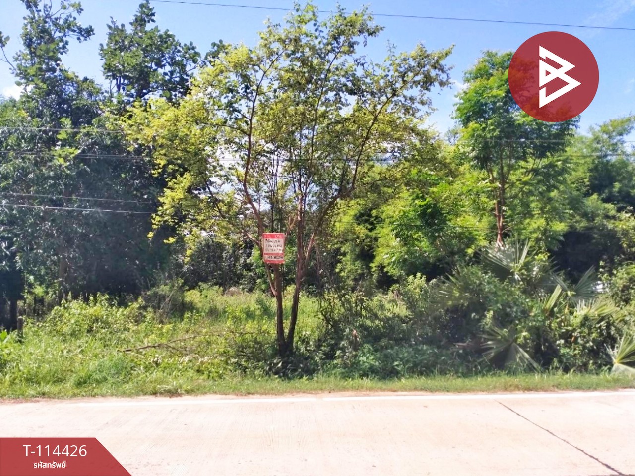 ขายที่ดิน เนื้อที่ 2 งาน 26 ตร.วา แจระแม อุบลราชธานี