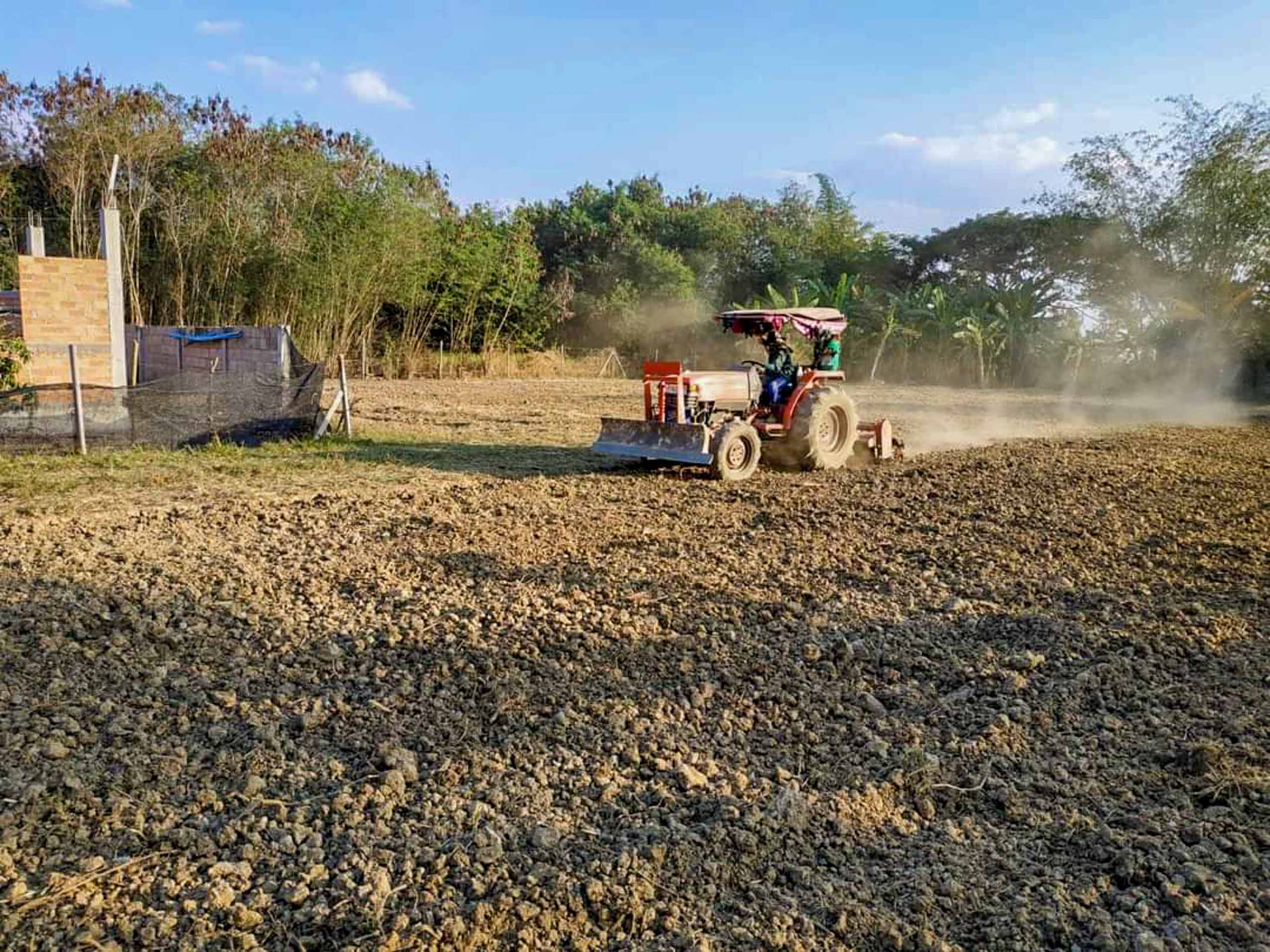 Land - Residential - For Sale - San Kamphaeng, Chiang Mai
