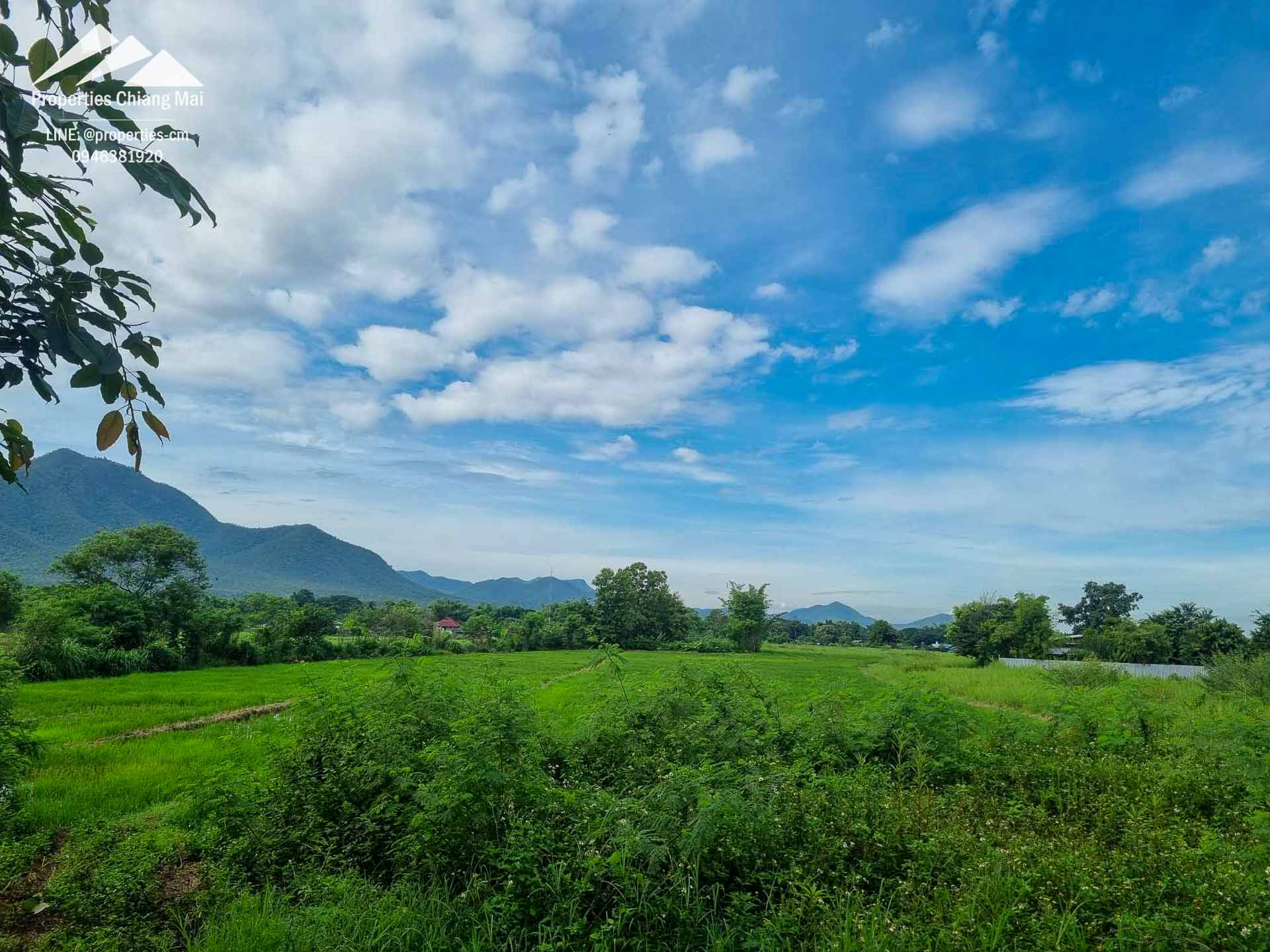 ที่ดินวิวภูเขาพร้อมการพัฒนา บ้านสะคอน แม่ออน