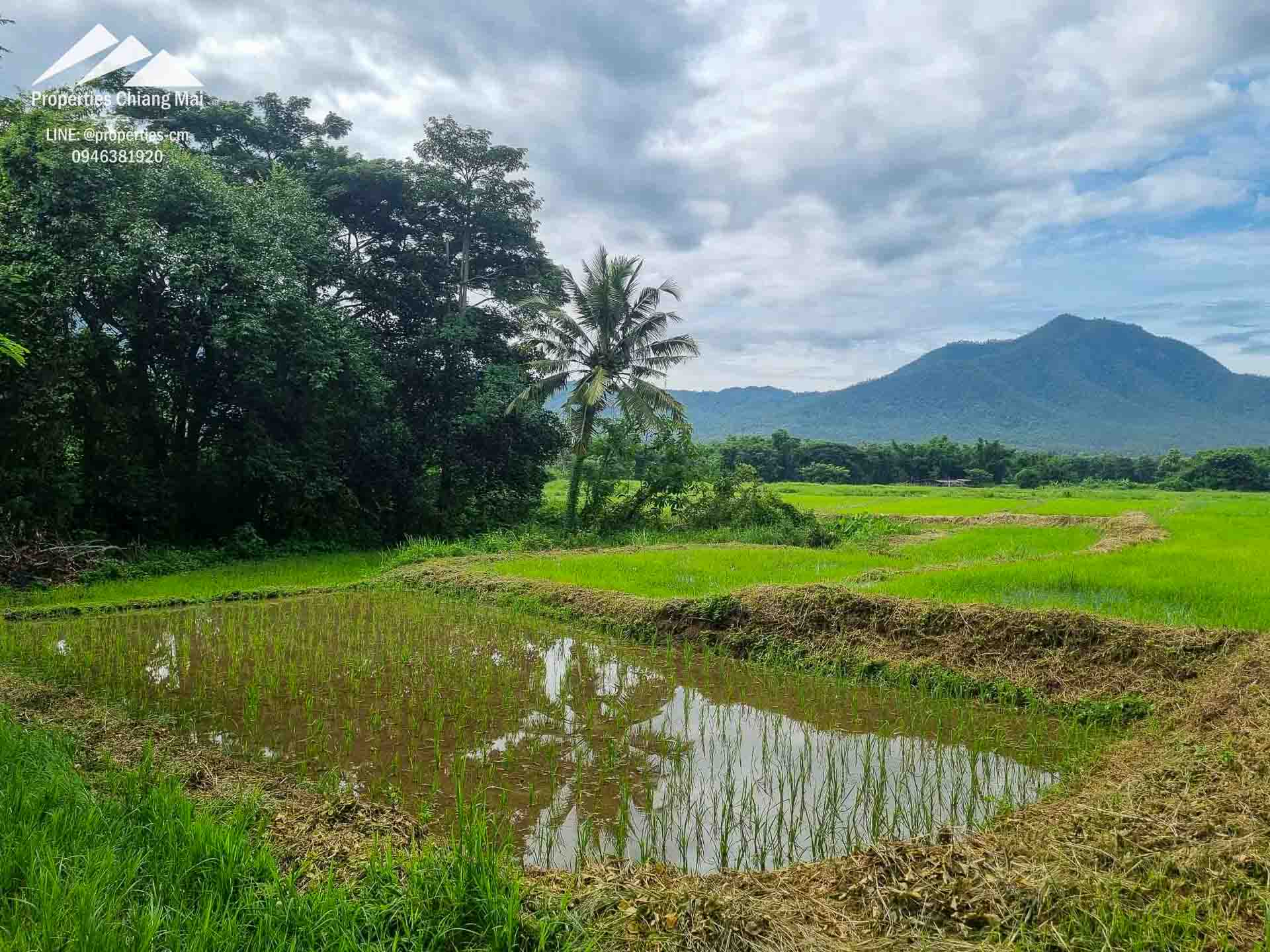 ที่ดินขนาดใหญ่ 48 ไร่พร้อมวิวภูเขาพร้อมสำหรับการพัฒนา