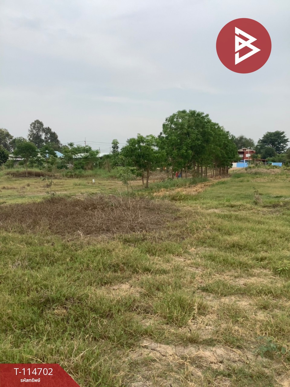 ขายที่ดิน เนื้อที่ 19 ไร่ 2 งาน 95.8 ตร.วา ป่ามะคาบ พิจิตร