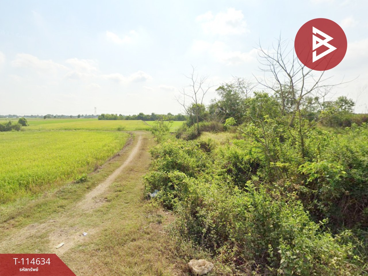 ขายที่ดิน เนื้อที่ 1 ไร่ 2 งาน หนองเสือ ปทุมธานี
