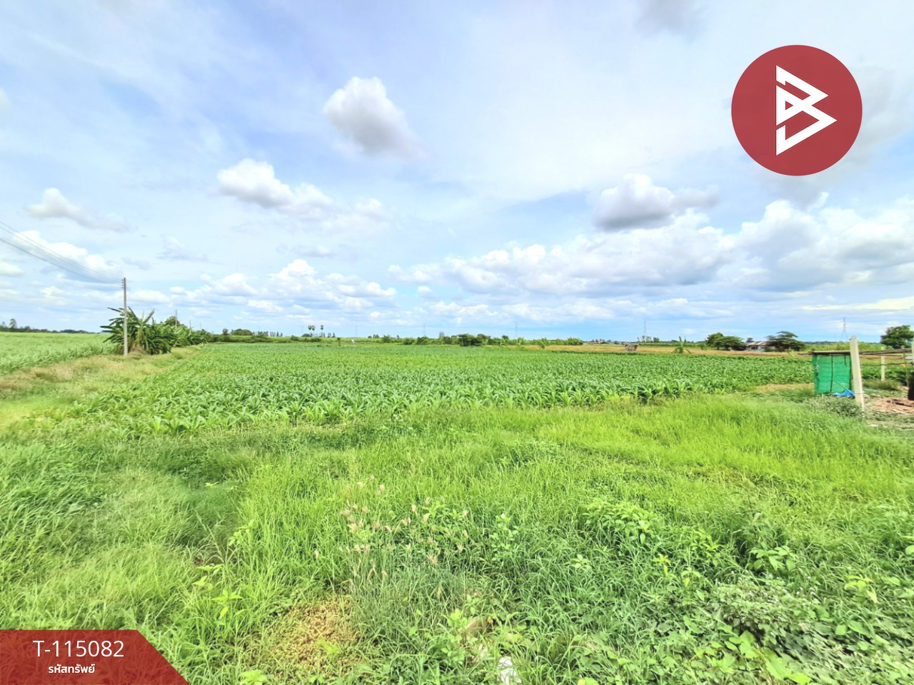ขายที่ดิน เนื้อที่ 6 ไร่ 37 ตร.วา ท่าม่วง กาญจนบุรี