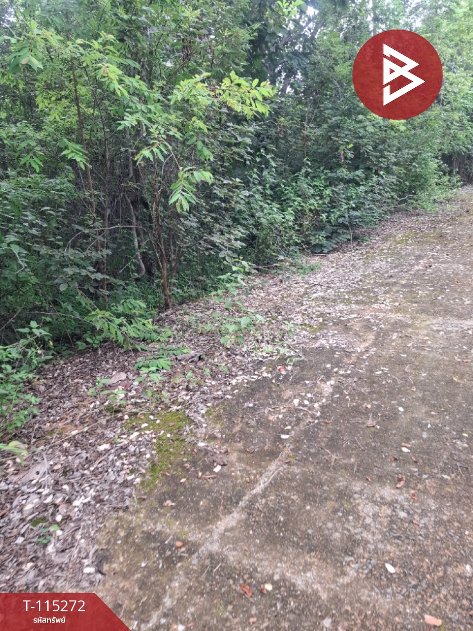 ขายที่ดิน เนื้อที่ 1 ไร่ เทิง เชียงราย