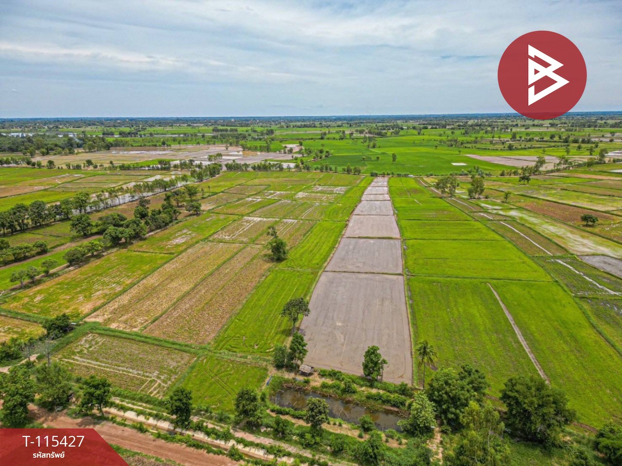 ขายที่ดิน เนื้อที่ 2 ไร่ 2 งาน 45 ตร.วา ฆ้องชัย กาฬสินธุ์