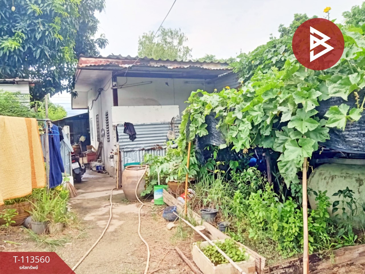 ขายที่ดิน เนื้อที่ 1 งาน หนองจอก กรุงเทพมหานคร