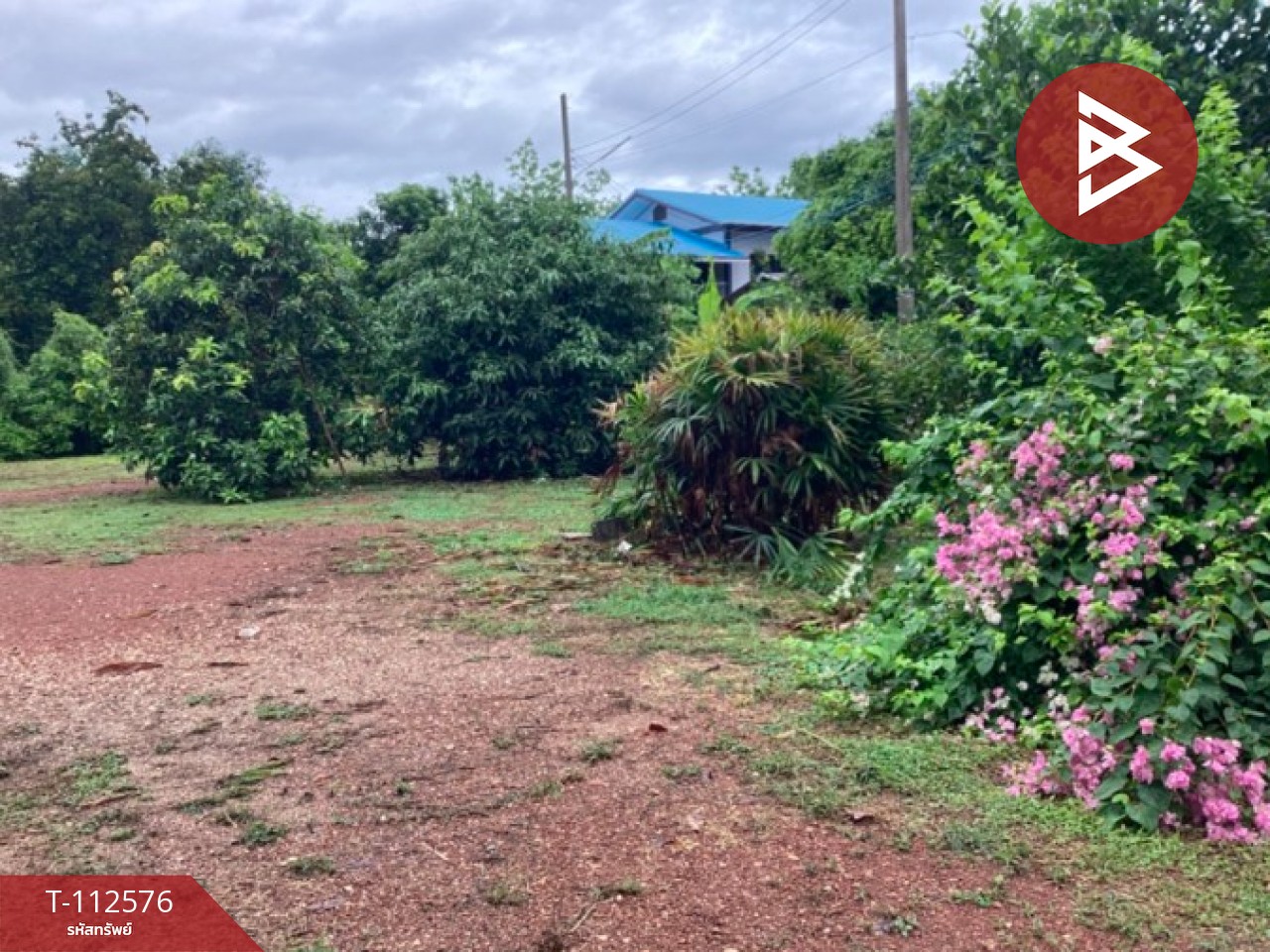 ขายที่ดิน เนื้อที่ 1 งาน 91 ตร.วา งิ้วงาม อุตรดิตถ์