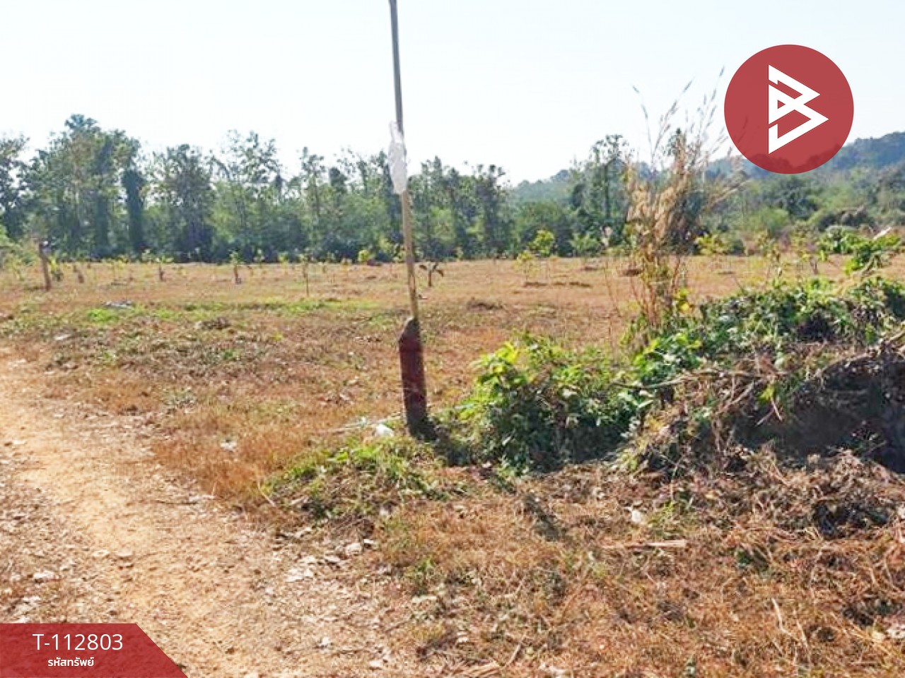 ขายที่ดิน เนื้อที่ 16 ไร่ 1 งาน 18.9 ตร.วา ลับแล อุตรดิตถ์