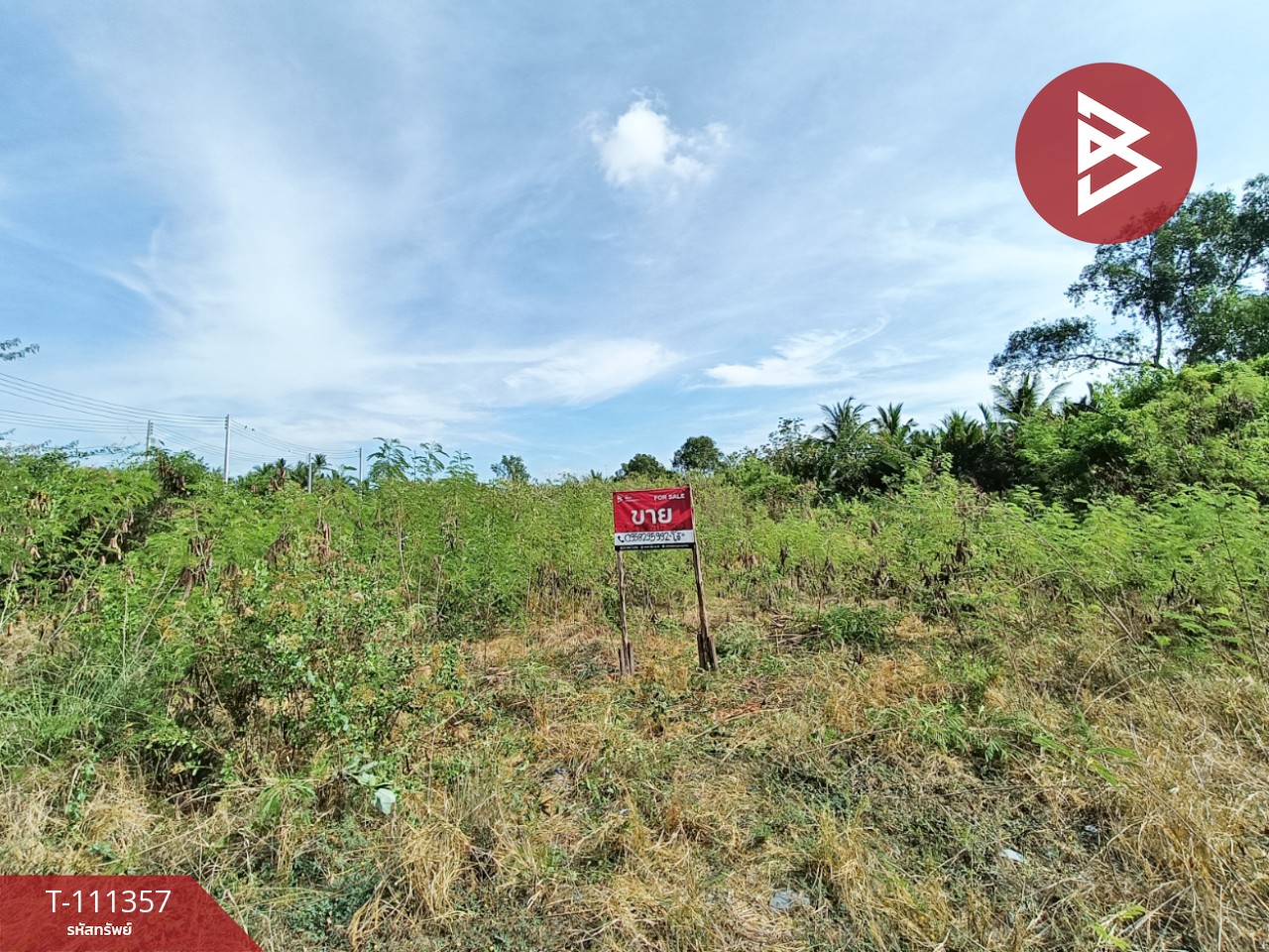 ขายที่ดิน เนื้อที่ 1 งาน 46.6 ตร.วา อัมพวา สมุทรสงคราม