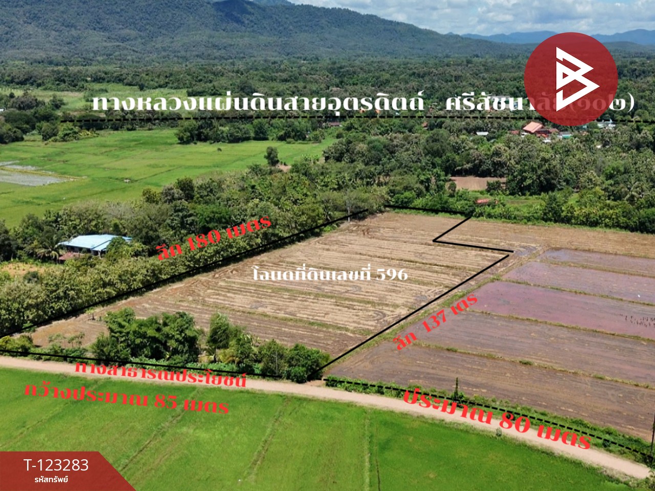 ขายที่ดิน เนื้อที่ 8 ไร่ 3 งาน 91 ตร.วา ลับแล อุตรดิตถ์