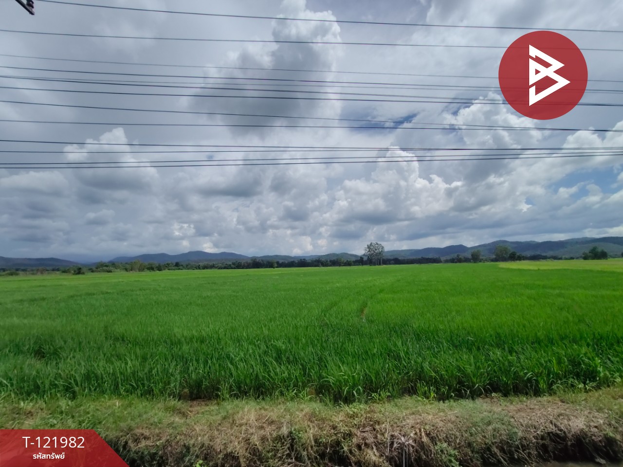 ขายที่ดิน เนื้อที่ 5 ไร่ 1 งาน 2 ตร.วา ทองแสนขัน อุตรดิตถ์