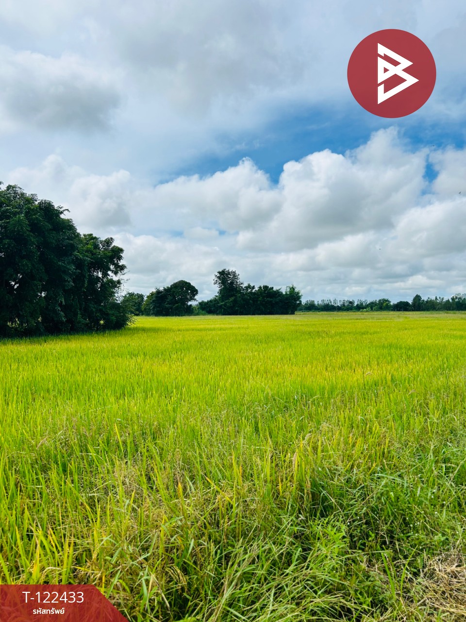 ขายที่ดิน เนื้อที่ 32 ไร่ 1 งาน 82.3 ตร.วา ทัพทัน อุทัยธานี