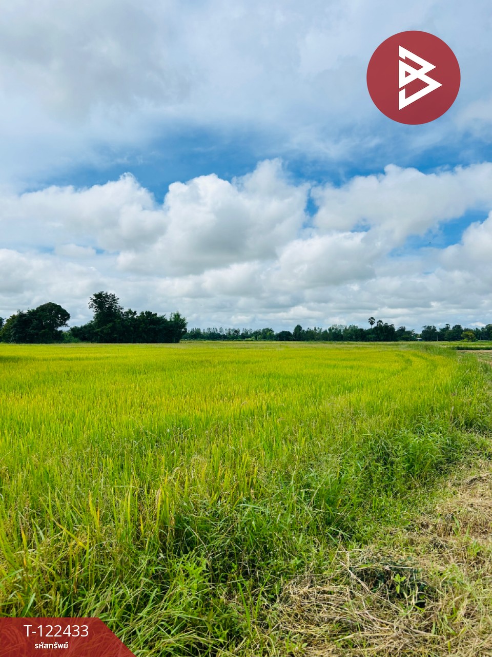 ขายที่ดิน เนื้อที่ 32 ไร่ 1 งาน 82.3 ตร.วา ทัพทัน อุทัยธานี