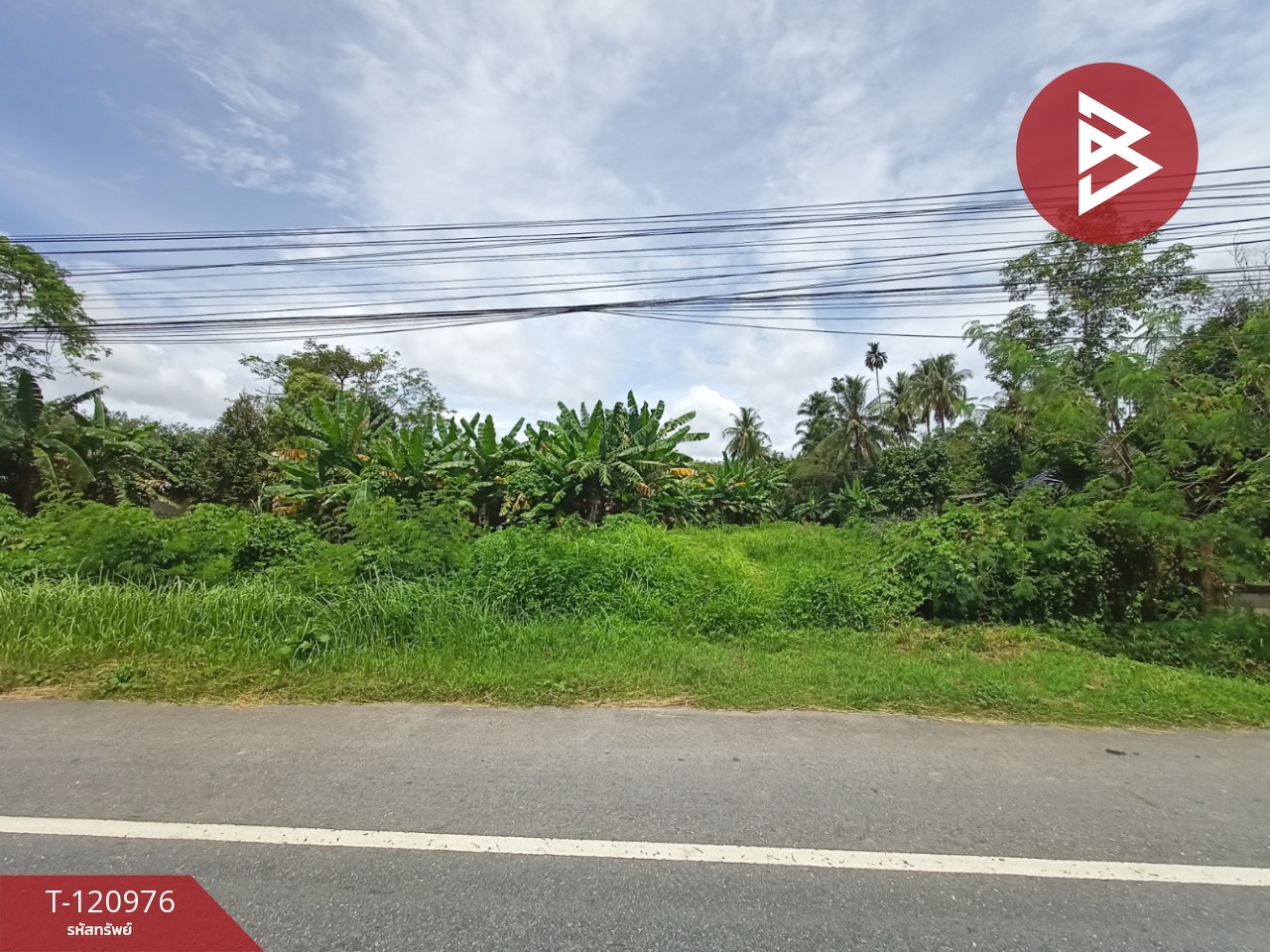 ขายที่ดินพร้อมสวน เนื้อที่ 10 ไร่ 1 งาน 95.8 ตร.วา นาบอน นครศรีธรรมราช