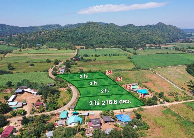 ขายที่ดินแบ่งแปลงขายเขาใหญ่ #พร้อมสวนมะม่วงติดถนน #ถูกที่สุดในย่านนี้, ภาพที่ 4