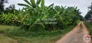 ขายที่ดิน ซอยคลองสี่ตะวันออก 34 เข้าซอย 100 เมตร ใกล้วัดธรรมกาย เนื้อที่ 1 ไร่ 32 ตารางวา