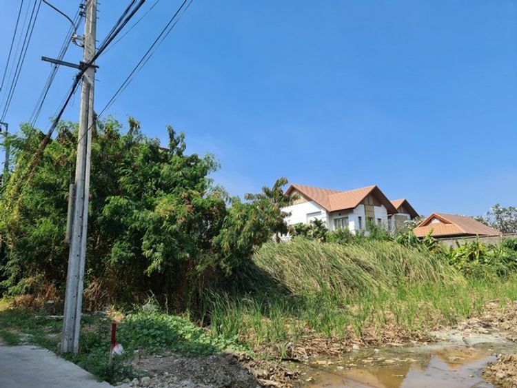 ขายที่ดิน 49วา หน้ากว้าง สวย ใกล้บางกอกพัฒนา ลาซาล แบริ่ง BTSแบริ่ง, ภาพที่ 4