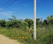 LVpop50925 ขายที่ดินสวยราคาไม่แพง ใกล้วัดประยงค์กิตติวนาราม ถนน คลอง10-14