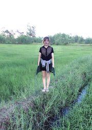 ขาย ที่ดิน ที่ทำนา ตำบลดงมะยาง อำเภอลืออำนาจ จังหวัดอำนาจเจริญ