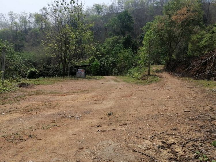 ขายที่ดินบ้านสวน 10 ไร่ ตำบลปางหมู อำเภอเมืองแม่ฮ่องสอน, ภาพที่ 4