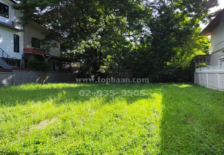ขายที่ดิน ม.แมกไม้ ซอยรามอินทรา 103/3 ถนนรามอินทรา เขตคันนายาว, ภาพที่ 4