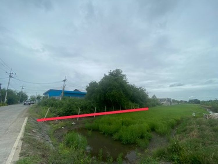 ใกล้เซ็นทรัลเวสเกต!!! ขายที่ดินเปล่าเหมาะทำโกดังหรือบ้านพักอยู่อาศัย , ภาพที่ 4